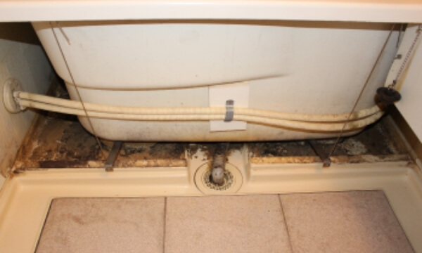 浴槽パネル(エプロン)内の汚れ
